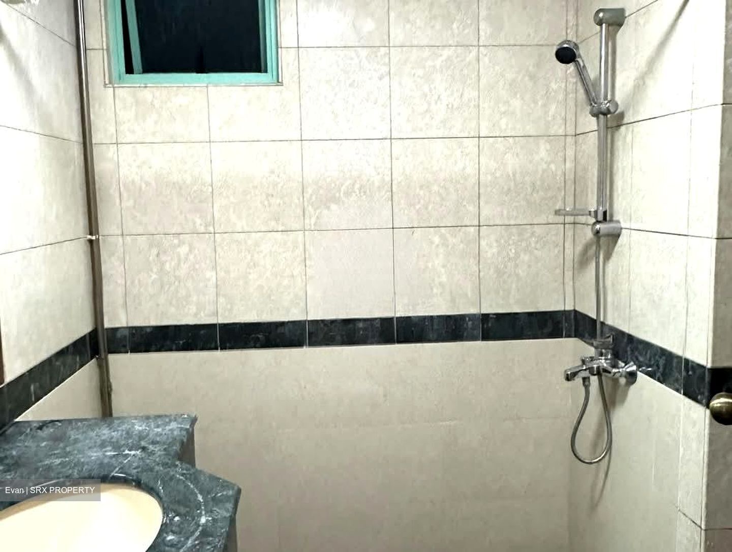 Hazel Park Condominium (D23), Condominium #551631251